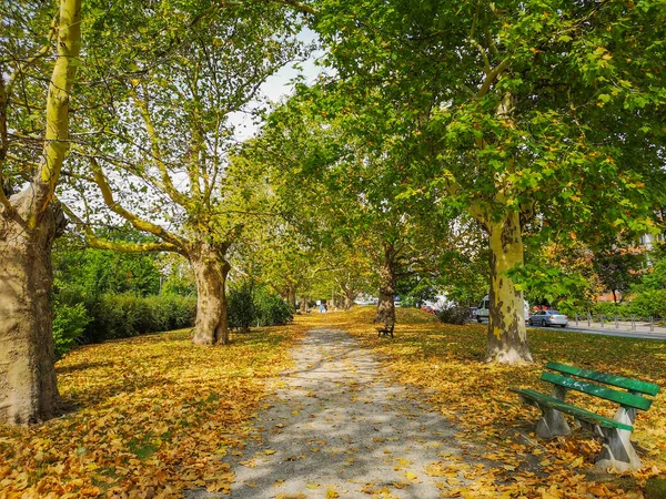 가을에 벤치와 나뭇잎이 떨어지는 공원의 — 스톡 사진