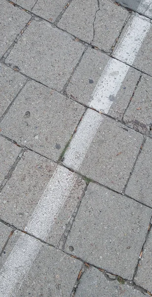 Сіра Цегляна Бруківка Білою Діагональною Лінією — стокове фото