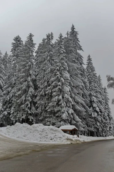 Borovetz Resort Region Winter Bulgaria — Stock Photo, Image