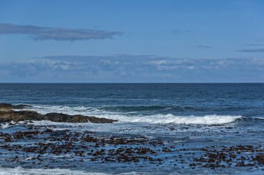 Atlantik Okyanusu kıyısında Cape Town, Güney Afrika