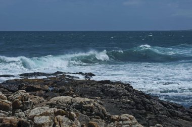 Atlantik Okyanusu kıyısında Cape Town, Güney Afrika