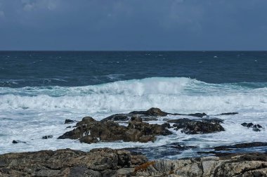 Atlantik Okyanusu kıyısında Cape Town, Güney Afrika