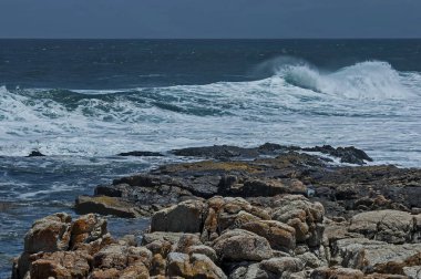 Cape Town, Güney Afrika 'daki Atlantik Okyanusu kıyısında