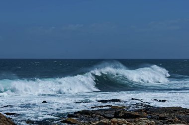 Cape Town, Güney Afrika 'daki Atlantik Okyanusu kıyısında
