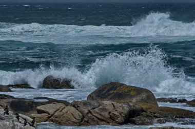 Cape Town, Güney Afrika 'daki Atlantik Okyanusu kıyısında