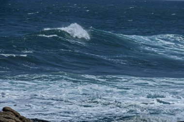 Cape Town, Güney Afrika 'daki Atlantik Okyanusu kıyısında