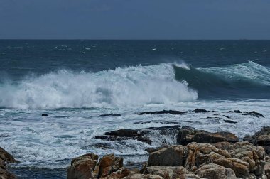 Cape Town, Güney Afrika 'daki Atlantik Okyanusu kıyısında