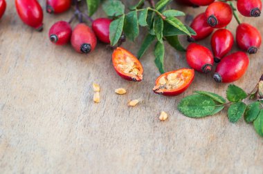 Taze koparılmış gül kalçalar. Gül kalçası ya da gül kalçası, genel olarak köpek gülü olarak bilinir.