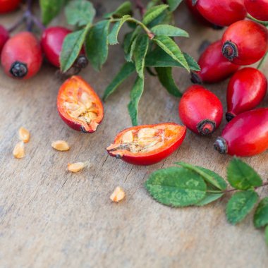 Taze koparılmış gül kalçalar. Gül kalçası ya da gül kalçası, genel olarak köpek gülü olarak bilinir.