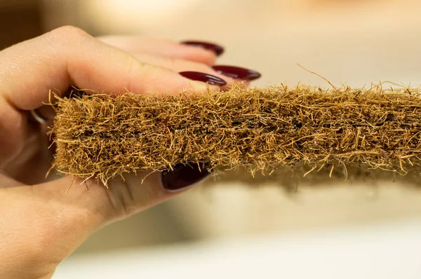 Matrasvuller. Kokosnoot kokos. Geraspte kokosschelp voor de productie van matrassen. — Stockfoto