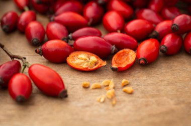 Freshly picked rose hips on the wooden table. Rose hip commonly known as rose hip (Rosa canina) clipart