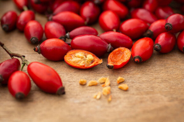 Freshly picked rose hips on the wooden table. Rose hip commonly known as rose hip (Rosa canina)