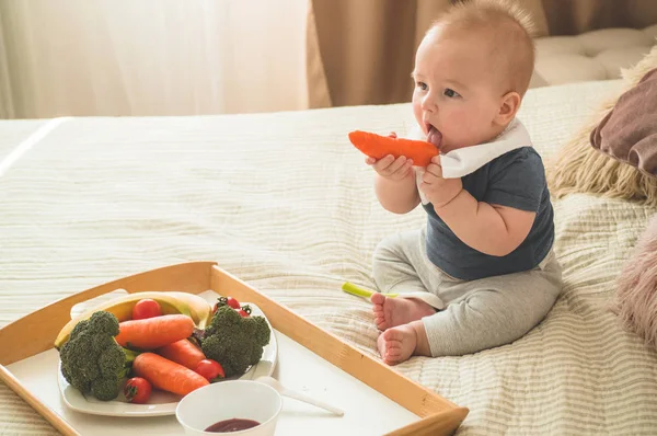 Makanan padat pertama untuk anak muda. Wortel organik segar untuk makan siang sayuran. Bayi weaning . — Stok Foto