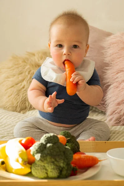 Makanan padat pertama untuk anak muda. Wortel organik segar untuk makan siang sayuran. Bayi weaning . — Stok Foto