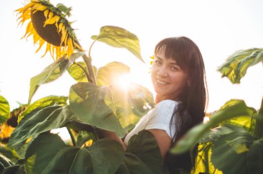 Ayçiçeği tarlasında güzel bir genç kadın. Güneşteki genç bir kadının portresi. Polen alerjisi kavramı.