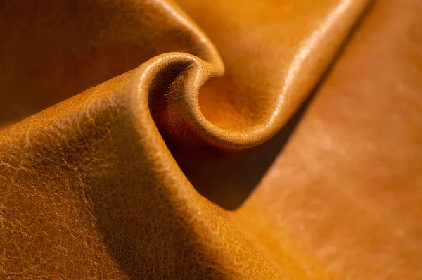 Luxury leather samples close-up. Can be used as background. Industry background