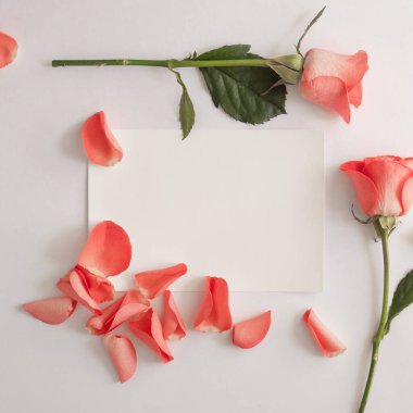 Boş kağıt tebrik kartı, beyaz arkaplanda gül ve taç yaprakları olan bir zarf..