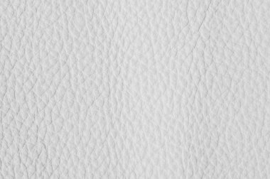 Beyaz lüks deri örnekleri yakın plan. Arka plan olarak kullanılabilir. Sektör arkaplanı