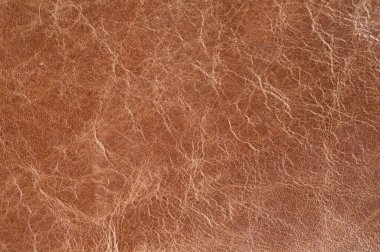 Brown Luxury leather samples close-up. Can be used as background. Industry background clipart