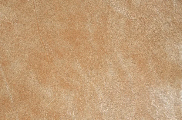 Beige muestras de cuero de lujo primer plano. Se puede utilizar como fondo. Contexto industrial — Foto de Stock