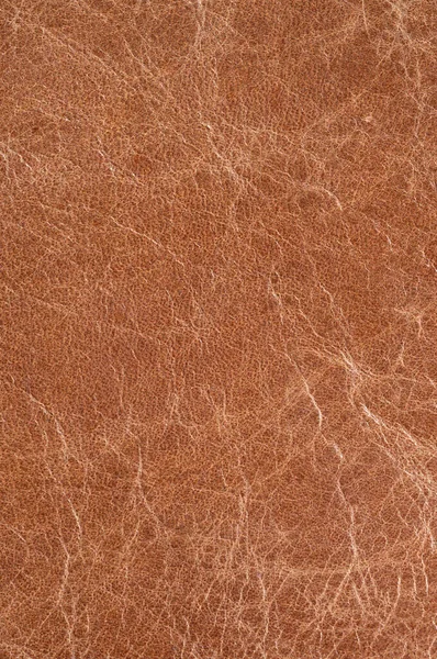 Образцы коричневой роскошной кожи крупным планом. Может использоваться в качестве фона. Промышленность — стоковое фото
