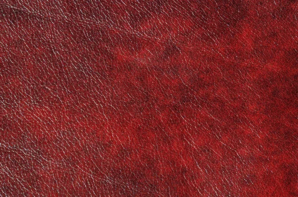 Campioni di pelle Red Luxury primo piano. Può essere utilizzato come sfondo. Contesto industriale — Foto Stock