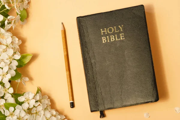 A Bíblia com flores de primavera em um fundo de cor. Conceito de fé, espiritualidade e religião — Fotografia de Stock