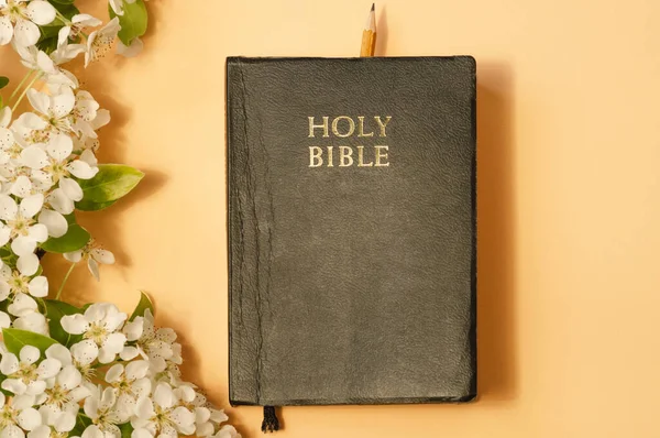 La Biblia con flores de primavera sobre un fondo de color. Concepto de fe, espiritualidad y religión — Foto de Stock