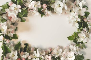 Bahar çiçeği arka planı. Elma çiçekleriyle çerçevelenmiş. Üst görünüm