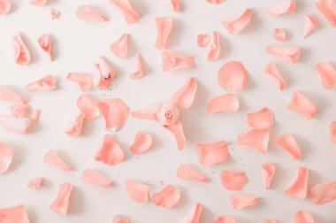 Gül deseni ve gül yaprakları. Üst manzara, düz yatış. Boşluğu kopyala. 