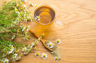 Papatya çiçeği ve papatya çayı. Bitkisel papatya çayı. Yakın plan..