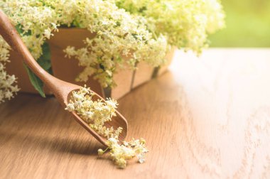 Mürver çiçekleri. Alternatif tıp, metin veya yazıtlar için kopyalama alanı