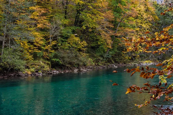 Herfst Tara river canyon in Montenegro — Stockfoto