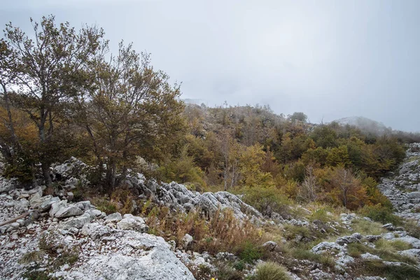 Herbstlandschaft im Gebirge, Montenegro — Stockfoto