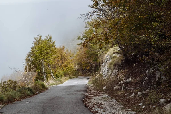 Сценическая дорога в горах Черногории — стоковое фото