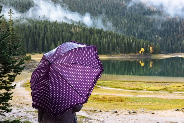 Молода жінка з фіолетовим парасолька прогулянки в Осінній Парк Дурмітор — стокове фото