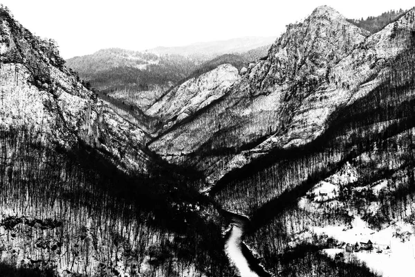 Czarno-białe zdjęcie zimowe Kanion Tara rzeki (Kanjon rijeke — Zdjęcie stockowe