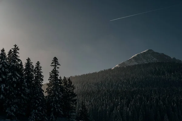 겨울 풍경 눈으로 덮여에서 몬테네그로 산 — 스톡 사진