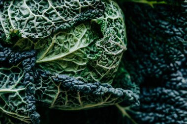 Organik doku. Taze yeşil Kale en kullanışlı sebze whit üzerinde