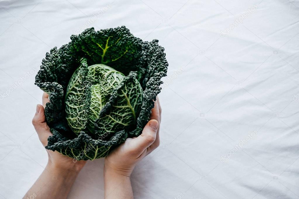 Fresh Green Kale most useful vegetables in woman hands on white 