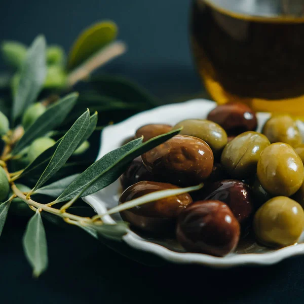 Closeup organik zeytin, saf yağı ve yeşil siyah bac dalda — Stok fotoğraf