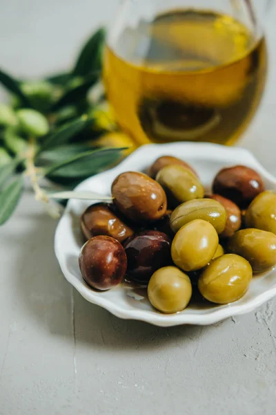 Zeytin, petrol ve yeşil gri backgrou dalda dikey fotoğraf — Stok fotoğraf