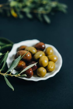 Taze doğal yeşil ve koyu zeytin ve siyah backgro şube