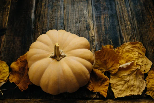 Kabak ve ahşap arka plan üzerinde kuru yaprakları. Metin için yer