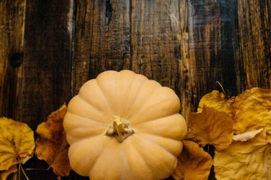 Kabak ve ahşap arka plan üzerinde kuru yaprakları. Metin, alan t