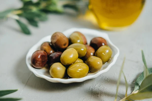 Organik zeytin, petrol ve gri arka plan üzerinde yeşil şube — Stok fotoğraf