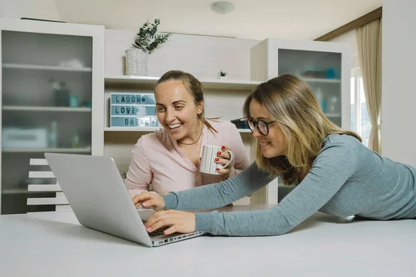 Deux collègues féminines discutent d'un projet et pointent vers un ordinateur portable i — Photo