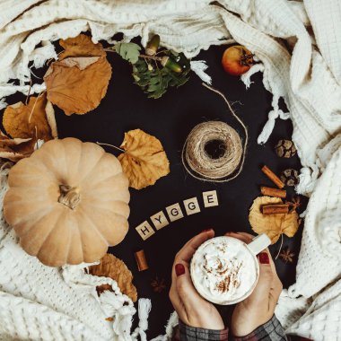 Rahat sonbahar kompozisyon. Sütlü balkabağı, Cinnamo kadın elle