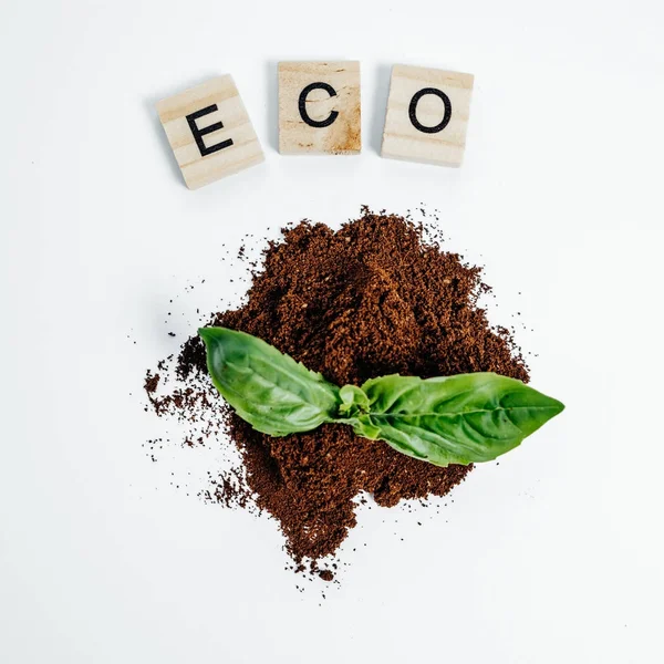 Eco concept green sprossen in eart auf weißem Hintergrund top vie — Stockfoto