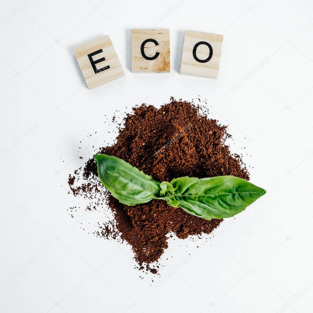 Eco Concept Green sprout in eart on the White Background Top Vie